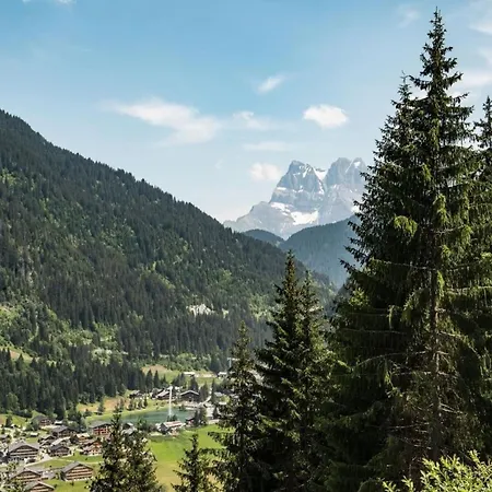 In With Mountain Views * Châtel